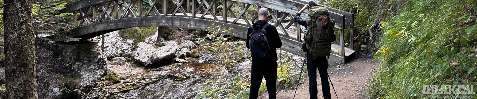 { _file.DOWNLOAD_NAME }