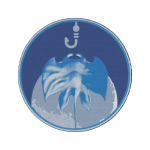 { _file.DOWNLOAD_NAME }