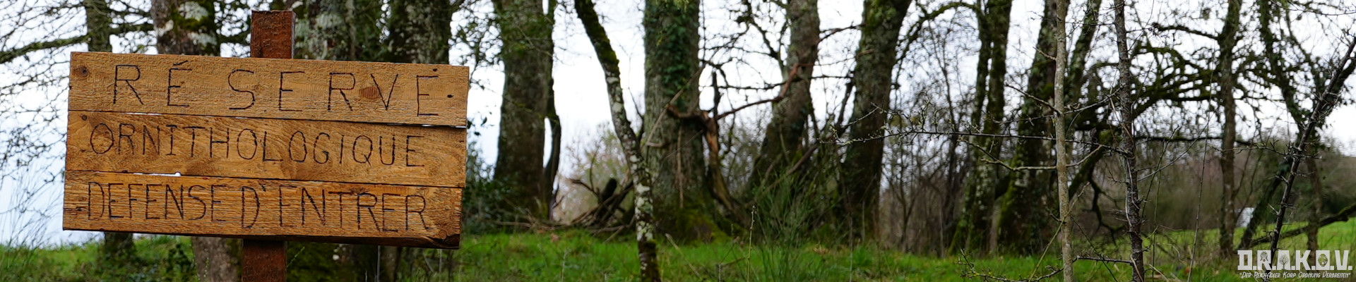 { _file.DOWNLOAD_NAME }