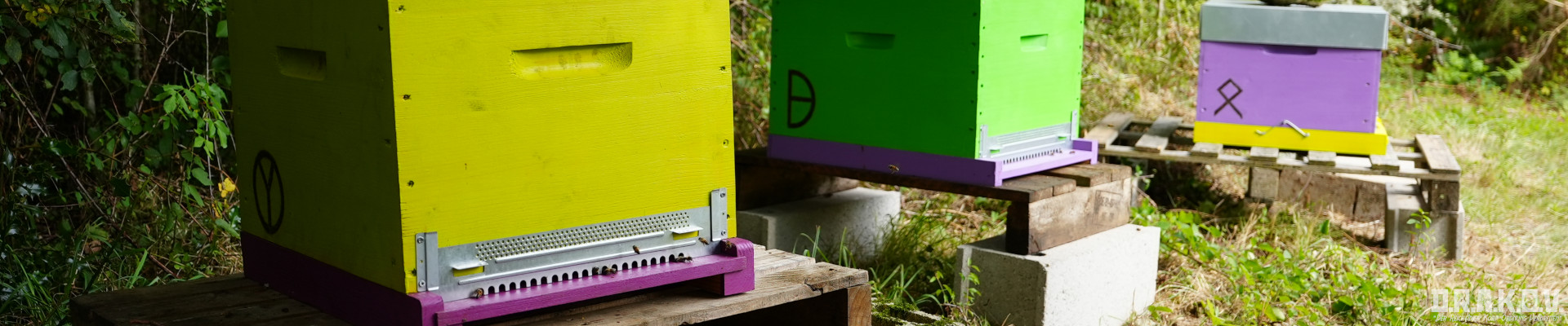 { _file.DOWNLOAD_NAME }